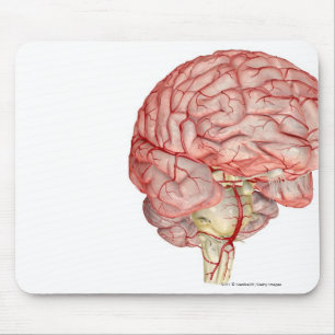 Alfombrilla De Ratón Representación de Realitic del cerebro humano