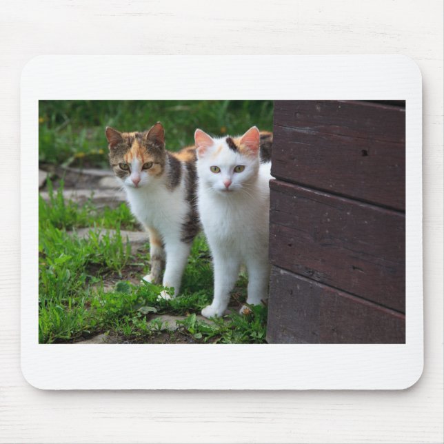 Alfombrilla De Ratón Reproducción de gatos (Frente)