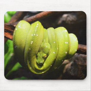 Alfombrilla De Ratón Reptil de serpiente verde