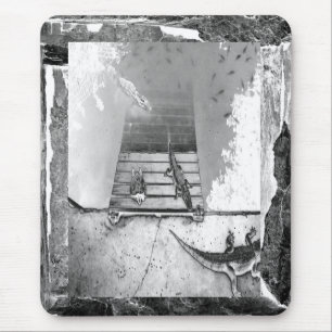 Alfombrilla De Ratón Reptiles Basking