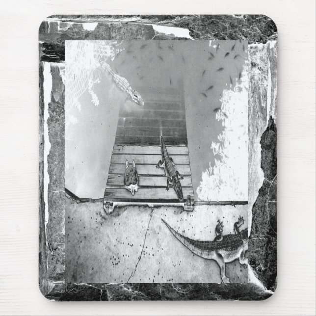 Alfombrilla De Ratón Reptiles Basking (Frente)