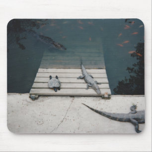 Alfombrilla De Ratón Reptiles Basking