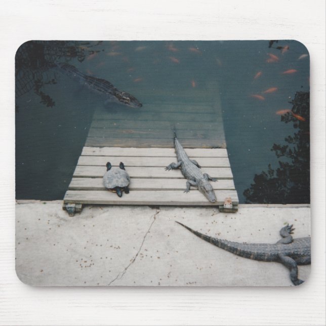 Alfombrilla De Ratón Reptiles Basking (Frente)