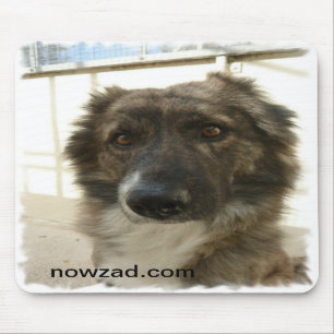 Alfombrilla De Ratón Rescate Wylie Mousepad de Nowzad