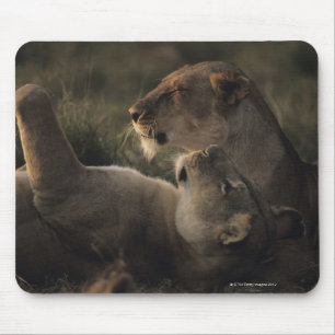 Alfombrilla De Ratón Reserva nacional 7 de Mara del Masai
