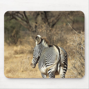 Alfombrilla De Ratón Reserva Nacional Samburu, Kenya