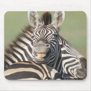 Alfombrilla De Ratón Reserva privada del tala, Kwazulu Natal, del sur