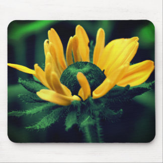 Alfombrilla De Ratón Resumen Green Black Eyed Susan Flower Art