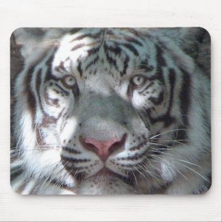 Alfombrilla De Ratón Retrato blanco del tigre