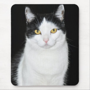 Alfombrilla De Ratón Retrato de gato blanco y negro