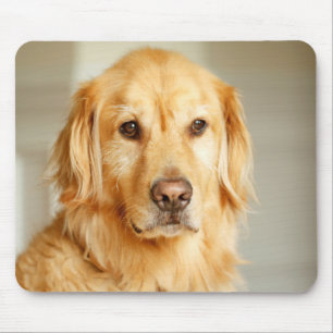 Alfombrilla De Ratón Retrato de Golden Retriever