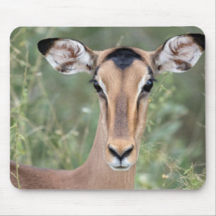 Alfombrilla De Ratón Retrato de Impala