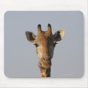 Alfombrilla De Ratón Retrato de la jirafa (camelopardalis del Giraffa)