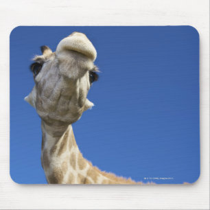 Alfombrilla De Ratón Retrato de la jirafa (Giraffa Camelopardalis)