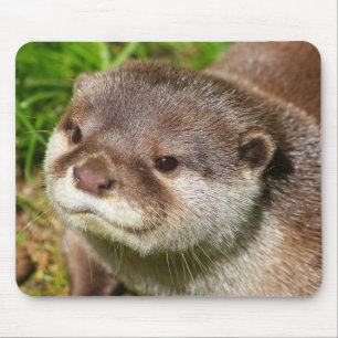 Alfombrilla De Ratón Retrato de la nutria .......