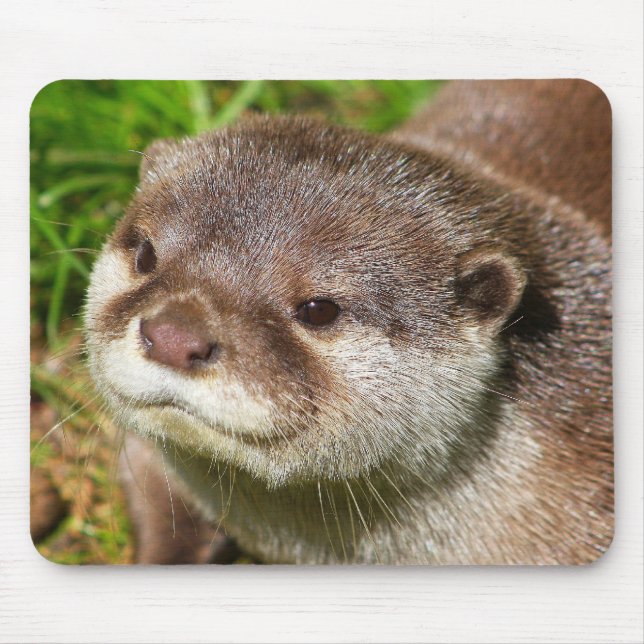 Alfombrilla De Ratón Retrato de la nutria ....... (Frente)