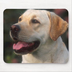 Alfombrilla De Ratón Retrato De Labrador Recuperador, Hilton