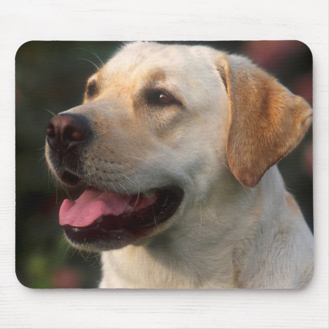Alfombrilla De Ratón retrato de Labrador Retriever, Hilton (Frente)