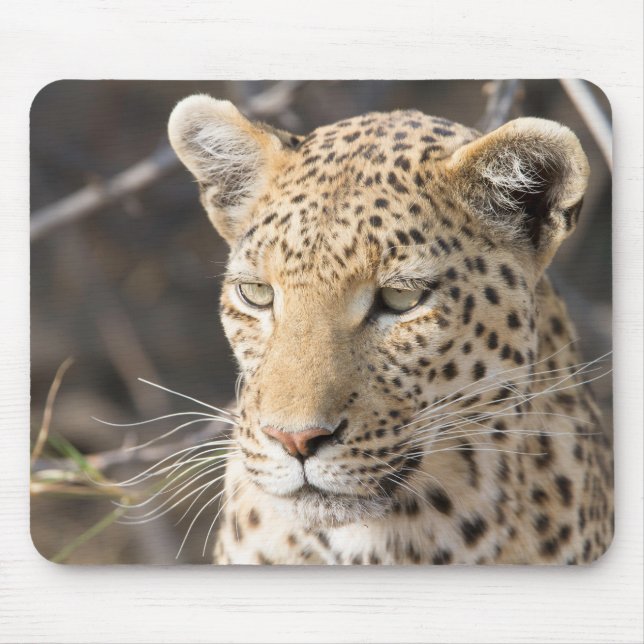 Alfombrilla De Ratón Retrato de leopardo (Frente)