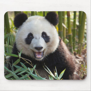Alfombrilla De Ratón Retrato de panda sonriente