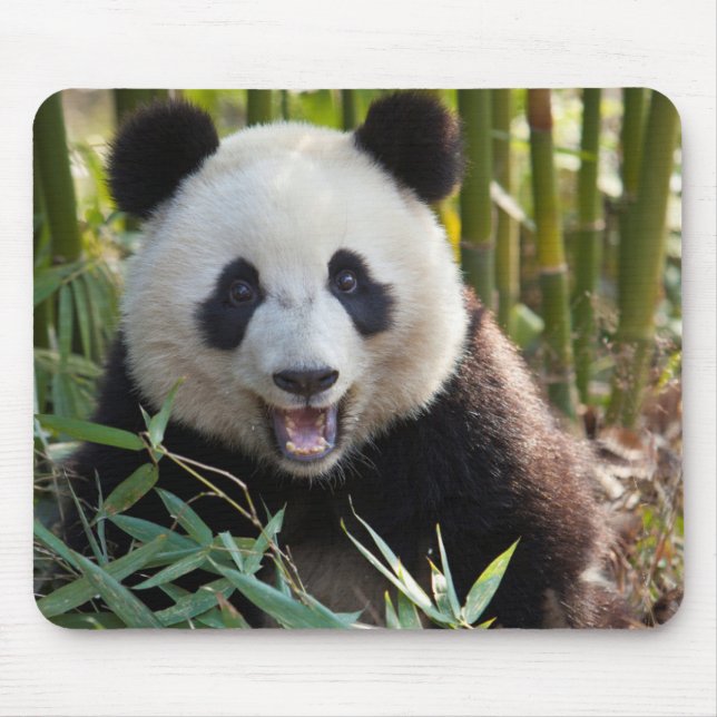 Alfombrilla De Ratón Retrato de panda sonriente (Frente)