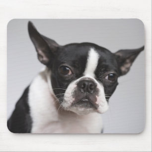 Alfombrilla De Ratón Retrato de perro