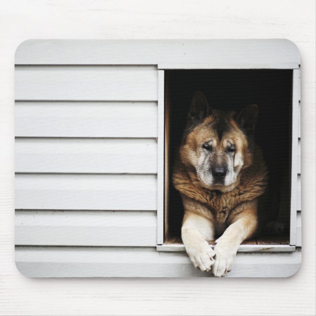 Alfombrilla De Ratón retrato de perro (Frente)