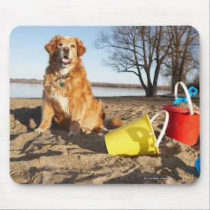 Alfombrilla De Ratón Retrato de perro en la playa con juguetes de arena