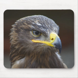 Alfombrilla De Ratón Retrato de Steppe Eagle Close-Up