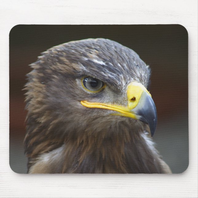 Alfombrilla De Ratón Retrato de Steppe Eagle Close-Up (Frente)
