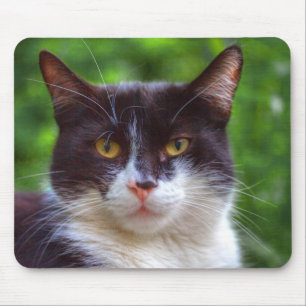 Alfombrilla De Ratón Retrato de Tuxedo