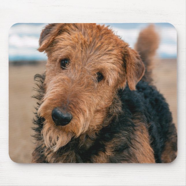 Alfombrilla De Ratón Retrato de un Airedale Terrier (Frente)
