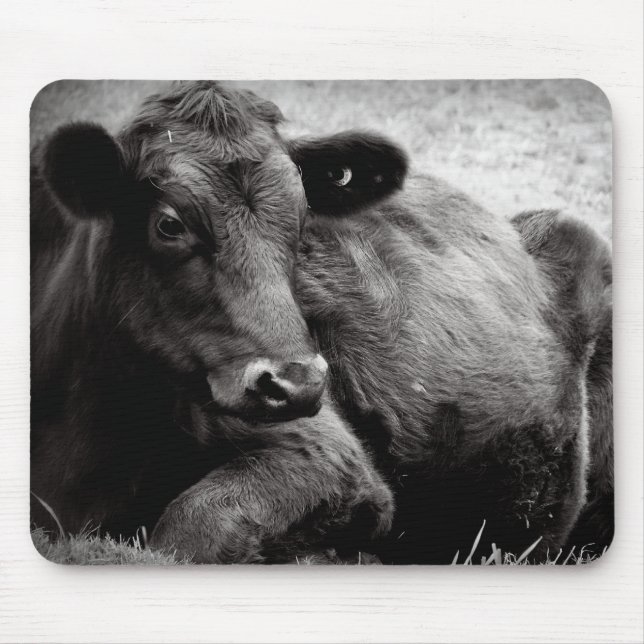 Alfombrilla De Ratón Retrato de un Angus (Frente)