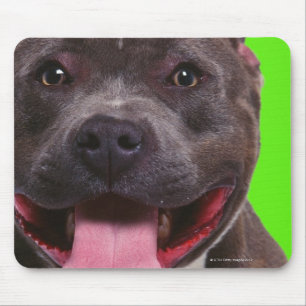 Alfombrilla De Ratón retrato de un bulldog