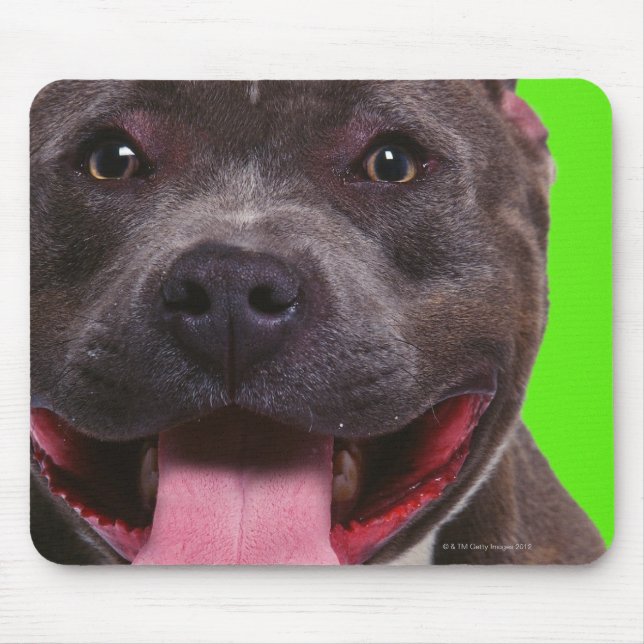 Alfombrilla De Ratón retrato de un bulldog (Frente)