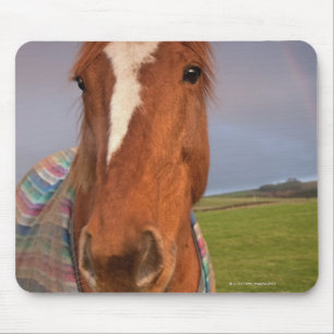 Alfombrilla De Ratón Retrato de un caballo con un arco iris en el cielo