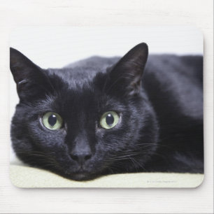 Alfombrilla De Ratón Retrato de un gato