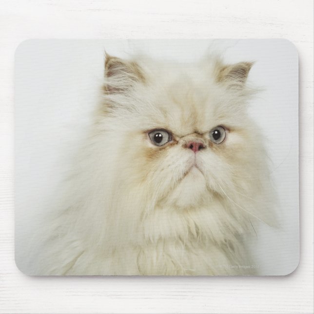 Alfombrilla De Ratón Retrato de un gato persa (Frente)