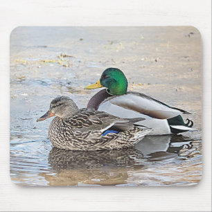 Alfombrilla De Ratón Retrato de un mallard masculino y femenino