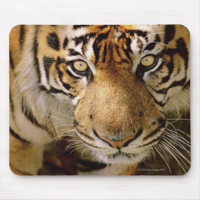 Alfombrilla De Ratón Retrato de un tigre (Frente)