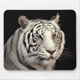 Alfombrilla De Ratón Retrato de un tigre de Bengala blanco