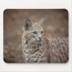 Alfombrilla De Ratón Retrato de una Bobcat