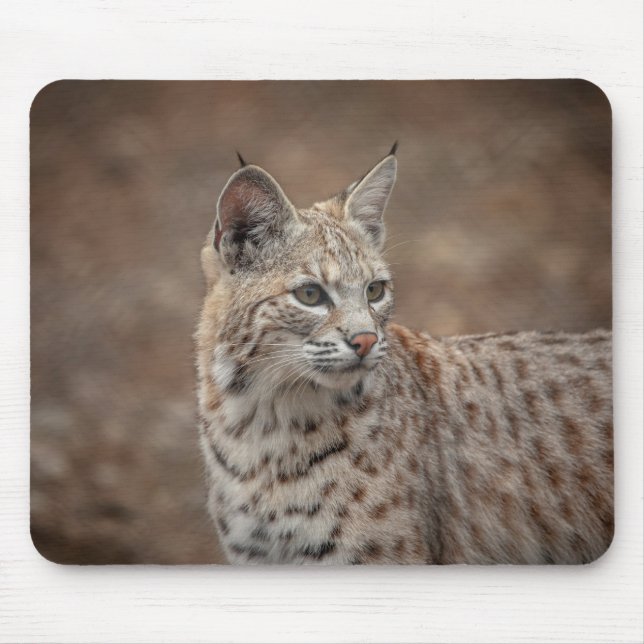 Alfombrilla De Ratón Retrato de una Bobcat (Frente)