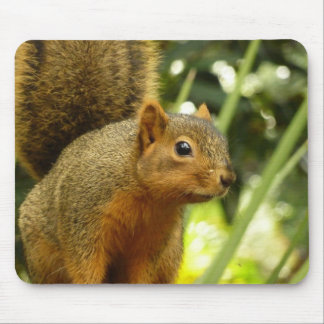 Alfombrilla De Ratón Retrato de una fotografía animal de la naturaleza