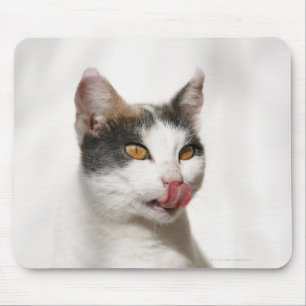 Alfombrilla De Ratón Retrato de una lamedura blanca del gato