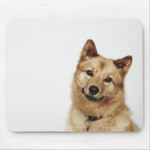 Alfombrilla De Ratón Retrato de una sonrisa finlandesa del perro del