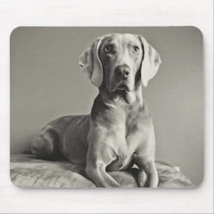 Alfombrilla De Ratón Retrato de Weimaraner