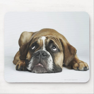 Alfombrilla De Ratón Retrato del bulldog viejo de Dorset Tyme