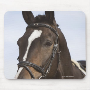 Alfombrilla De Ratón retrato del caballo marrón