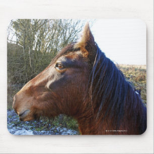 Alfombrilla De Ratón Retrato del caballo marrón en día frío que mira